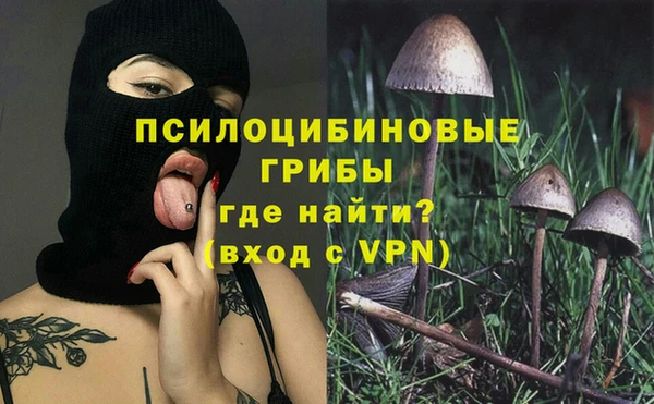 МДПВ Бугульма