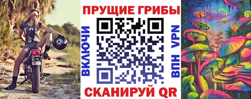 Галлюциногенные грибы мухоморы  Гаврилов-Ям 